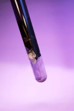 GEMMOTERAPIK MŁODOŚCI Krem pod oczy i na powieki 15 g